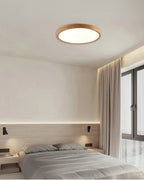 Ultra-Slim LED Ceiling Light Fixture – Modern Flush Mount Design for Elegant Illumination 4